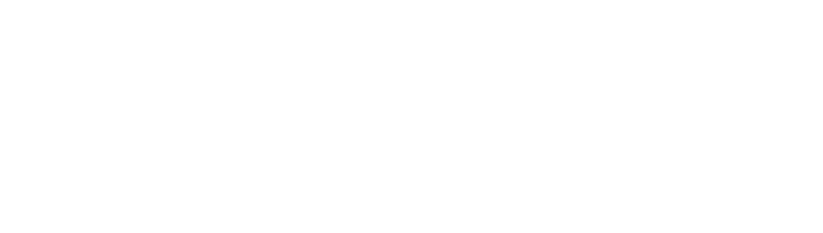 Brainy Solutions Agency